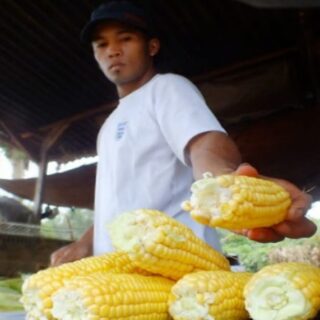 Jagung Rebus Manis Boltim Jadi Magnet Wisatawan