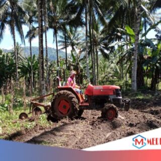 Kelompok Tani Motongkad Action, Lahan Ketahanan Pangan Mulai Digarap