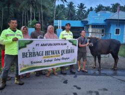 PT ASA Berbagi Berkah di Idul Adha, 15 Desa Lingkar Tambang Terima Sapi Kurban